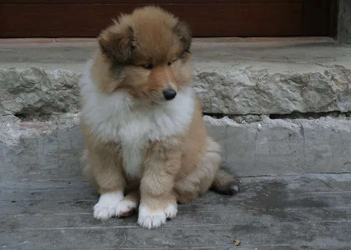 Casale Le Due Querce