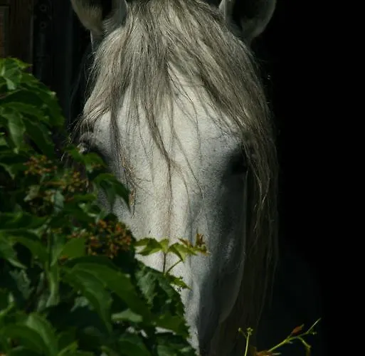 Venkovský dům Casale Le Due Querce
